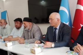 347241308_6567667633284057_2463006483239656881_n