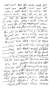 WhatsApp Image 2025 11 06 at 08.36.08 3